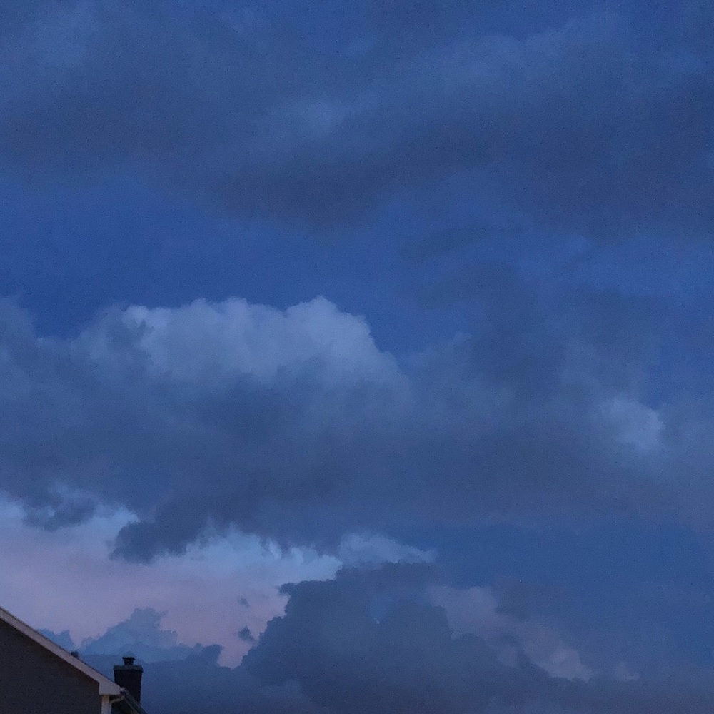 Meet your Posher, Jill